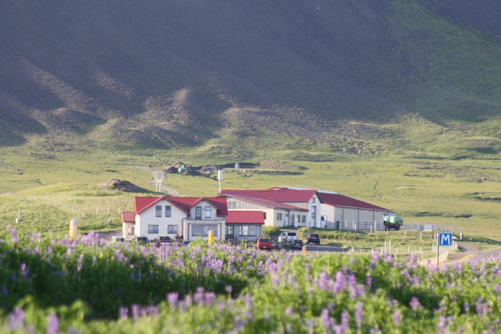 Lysuholl Hotel Snaefellsbaer Bagian luar foto